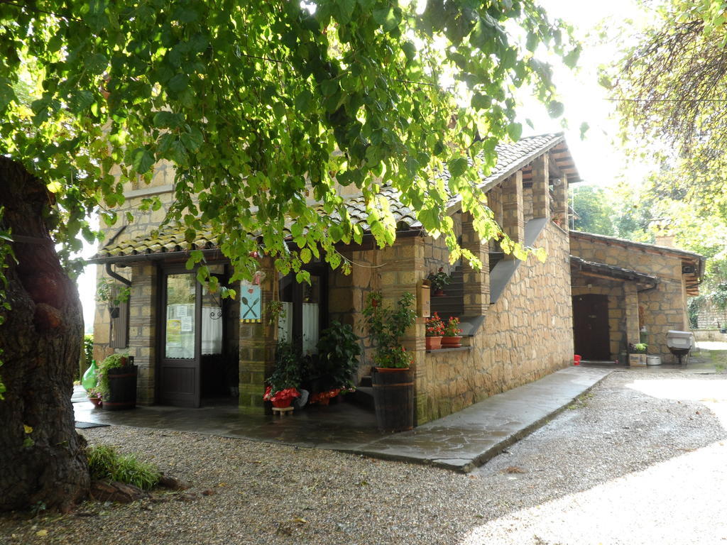Mola Solis Hotell Civitella dʼAgliano Exteriör bild