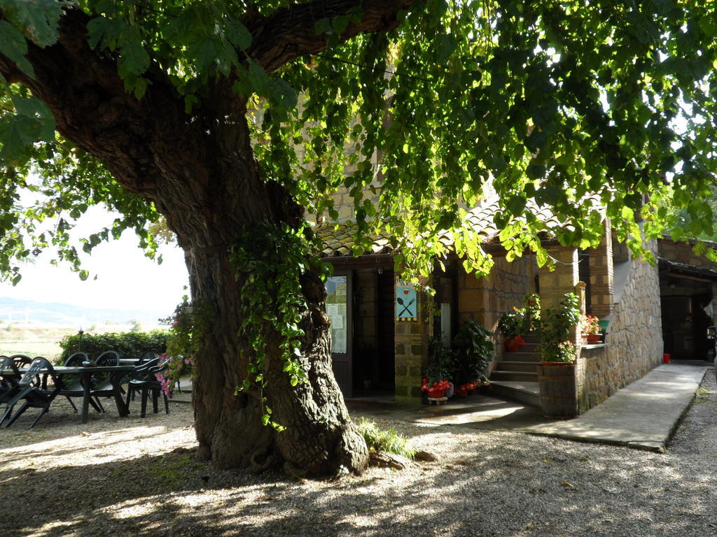 Mola Solis Hotell Civitella dʼAgliano Exteriör bild