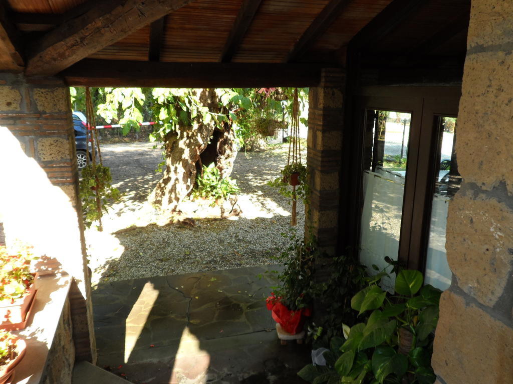 Mola Solis Hotell Civitella dʼAgliano Exteriör bild