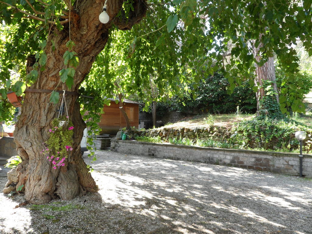 Mola Solis Hotell Civitella dʼAgliano Exteriör bild